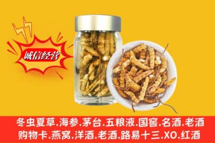 唐山市回收散虫草
