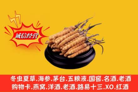 唐山市名酒回收冬虫夏草.jpg